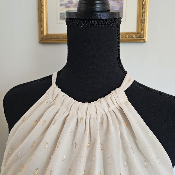 NWT Modcloth Illuminated Elegance Chiffon Halter Maxi Dress, Size L - Picture 9 of 16